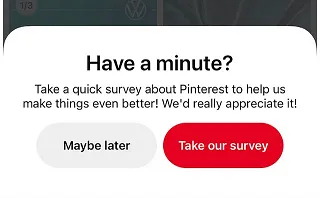 Pinterest survey